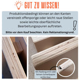 Personalisierte Spielzeugkiste aus Holz mit Namen – Löwe Rosa im Flugzeug
