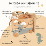 Spielzeugkiste Flieger