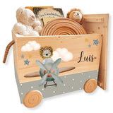 Spielzeugkiste Flieger