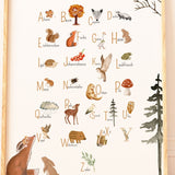 Poster A3 Alphabet Waldtiere