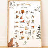Poster A3 Alphabet Waldtiere
